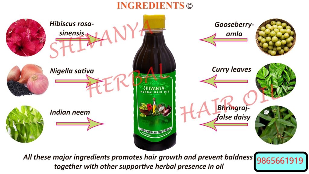 shivanya herbal hair oil home made